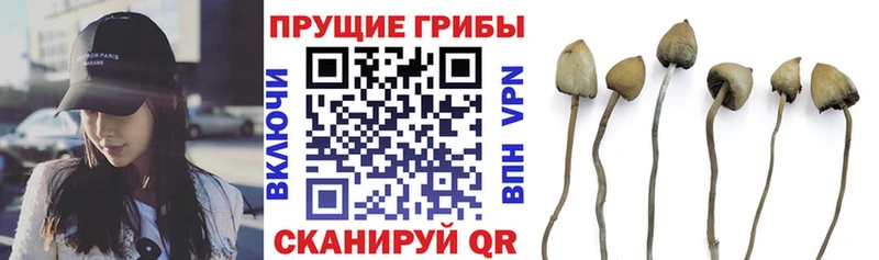 Псилоцибиновые грибы GOLDEN TEACHER  Соль-Илецк 